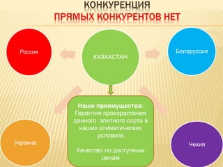КОНКУРЕНЦИЯ
ПРЯМЫХ КОНКУРЕНТОВ НЕТ
КАЗАХСТАН
Россия Белоруссия
ЧехияУкраина
Наши преимущества:
Гарантия произрастания
данного элитного сорта в
наших климатических
условиях
Качество по доступным
ценам
 