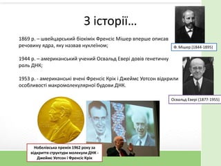 З історії…
1869 р. – швейцарський біохімік Френсіс Мішер вперше описав
речовину ядра, яку назвав нуклеїном;
1944 р. – американський учений Освальд Евері довів генетичну
роль ДНК;
1953 р. - американські вчені Френсіс Крік і Джеймс Уотсон відкрили
особливості макромолекулярної будови ДНК.
Ф. Мішер (1844-1895)
Нобелівська премія 1962 року за
відкриття структури молекули ДНК -
Джеймс Уотсон і Френсіс Крік
Освальд Евері (1877-1955)
 