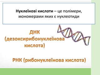 Нуклеїнові кислоти – це полімери,
мономерами яких є нуклеотиди
 
