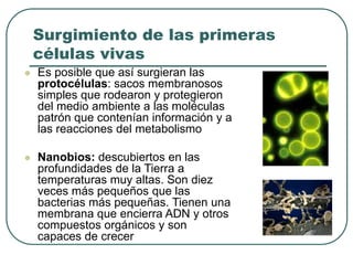 Surgimiento de las primeras 
células vivas 
 Es posible que así surgieran las 
protocélulas: sacos membranosos 
simples que rodearon y protegieron 
del medio ambiente a las moléculas 
patrón que contenían información y a 
las reacciones del metabolismo 
 Nanobios: descubiertos en las 
profundidades de la Tierra a 
temperaturas muy altas. Son diez 
veces más pequeños que las 
bacterias más pequeñas. Tienen una 
membrana que encierra ADN y otros 
compuestos orgánicos y son 
capaces de crecer 
 