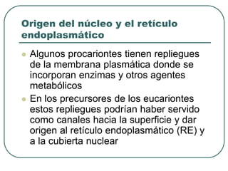 Origen del núcleo y el retículo 
endoplasmático 
 Algunos procariontes tienen repliegues 
de la membrana plasmática donde se 
incorporan enzimas y otros agentes 
metabólicos 
 En los precursores de los eucariontes 
estos repliegues podrían haber servido 
como canales hacia la superficie y dar 
origen al retículo endoplasmático (RE) y 
a la cubierta nuclear 
 