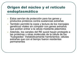 Origen del núcleo y el retículo 
endoplasmático 
 Estos servían de protección para los genes y 
productos proteicos contra sustancias extrañas 
 También permitió la copia y lectura de los mensajes 
genéticos vitales sin competir con genes extraños 
que podían entrar a la célula mediante plásmidos 
 Además, los canales del RE quizá hayan protegido a 
las proteínas y otras moléculas de la célula de los 
“huéspedes” metabólicamente hambrientos: células 
extrañas que con el tiempo fueron residentes 
permanentes 
 