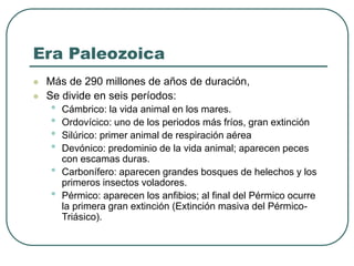 Era Paleozoica 
 Más de 290 millones de años de duración, 
 Se divide en seis períodos: 
• Cámbrico: la vida animal en los mares. 
• Ordovícico: uno de los periodos más fríos, gran extinción 
• Silúrico: primer animal de respiración aérea 
• Devónico: predominio de la vida animal; aparecen peces 
con escamas duras. 
• Carbonífero: aparecen grandes bosques de helechos y los 
primeros insectos voladores. 
• Pérmico: aparecen los anfibios; al final del Pérmico ocurre 
la primera gran extinción (Extinción masiva del Pérmico- 
Triásico). 
 
