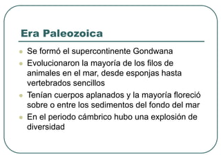 Era Paleozoica 
 Se formó el supercontinente Gondwana 
 Evolucionaron la mayoría de los filos de 
animales en el mar, desde esponjas hasta 
vertebrados sencillos 
 Tenían cuerpos aplanados y la mayoría floreció 
sobre o entre los sedimentos del fondo del mar 
 En el periodo cámbrico hubo una explosión de 
diversidad 
 