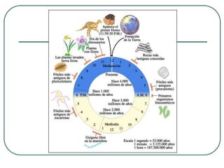 12. origen y evolución de la vida