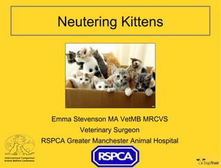 Neutering Kittens 
Emma Stevenson MA VetMB MRCVS 
Veterinary Surgeon 
RSPCA Greater Manchester Animal Hospital 
 