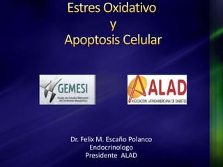 Dr. Felix M. Escaño Polanco 
Endocrinologo 
Presidente ALAD 
 