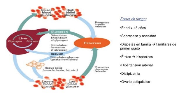 Diabetes Mellitus en adultos mayores: Puntos de controversia Diabetes Mellitus en adultos mayores: Puntos de controversia