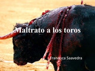 Maltrato a los toros 
Francisca Saavedra 
 
