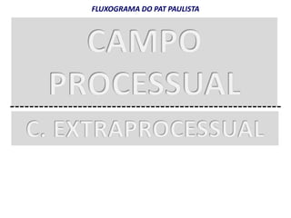 FLUXOGRAMA DO PAT PAULISTA 
 