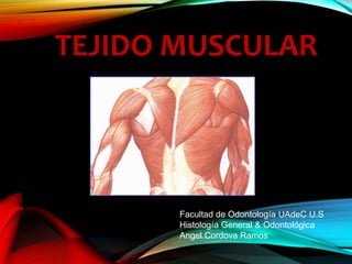 TEJIDO MUSCULAR 
Facultad de Odontología UAdeC U.S 
Histología General & Odontológica 
Angel Cordova Ramos 
 