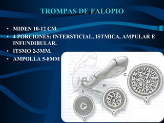 usppi usppi