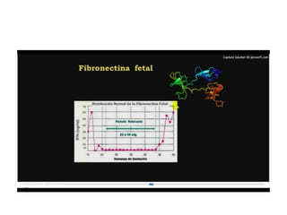 12.  parto pretermino - tocolisis