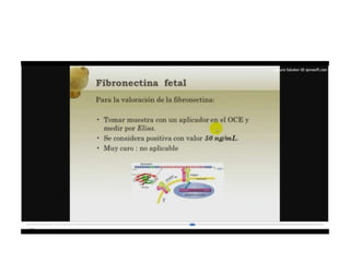12.  parto pretermino - tocolisis
