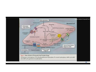 12.  parto pretermino - tocolisis