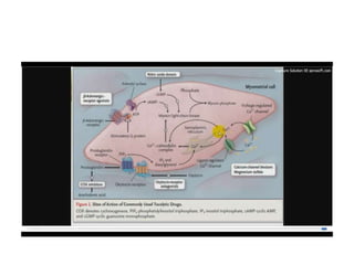 12.  parto pretermino - tocolisis