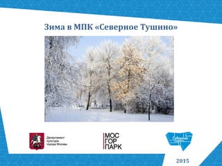 Зима в МПК «Северное Тушино» 
2015  