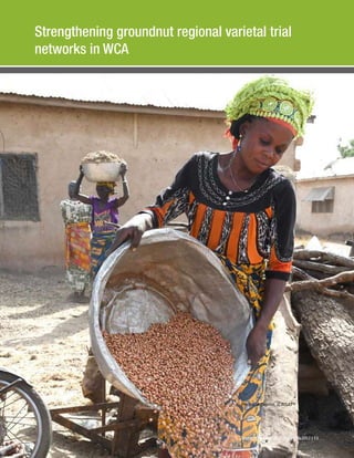 West and Central Africa (WCA) Annual Report - 2017 : Strengthening groundnut regional varietal trial networks in WCA