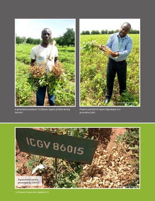 West and Central Africa (WCA) Annual Report - 2017 : Strengthening groundnut regional varietal trial networks in WCA
