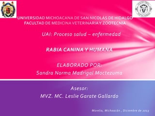 UAI: Proceso salud – enfermedad
RABIA CANINA Y HUMANA
ELABORADO POR:
Sandra Norma Madrigal Moctezuma
Asesor:
MVZ. MC. Leslie Garate Gallardo
Morelia, Michoacán , Diciembre de 2013
 