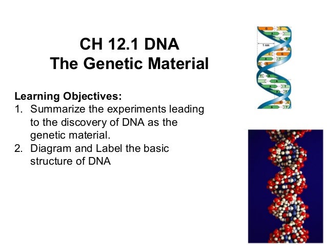 Worksheets Chapter 11 Dna And Genes Worksheet Answers 11 dna and genes worksheet answers sharebrowse chapter sharebrowse