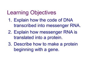 Learning Objectives
1. Explain how the code of DNA
transcribed into messenger RNA.
2. Explain how messenger RNA is
translated into a protein.
3. Describe how to make a protein
beginning with a gene.
 