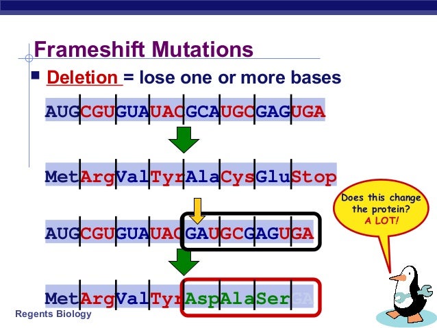 12.4 mutations