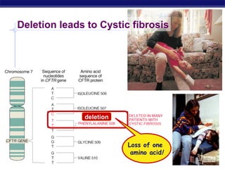 Regents Biology
Deletion leads to Cystic fibrosis
deletion
Loss of one
amino acid!
 