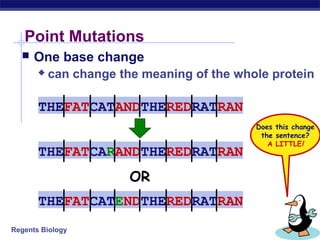 Regents Biology
Point Mutations
 One base change
 can change the meaning of the whole protein
THEFATCATANDTHEREDRATRAN
THEFATCARANDTHEREDRATRAN
THEFATCATENDTHEREDRATRAN
OR
Does this change
the sentence?
A LITTLE!
 