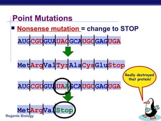 Regents Biology
Point Mutations
 Nonsense mutation = change to STOP
AUGCGUGUAUACGCAUGCGAGUGA
MetArgValTyrAlaCysGluStop
AUGCGUGUAUAAGCAUGCGAGUGA
MetArgValStop
Really destroyed
that protein!
 