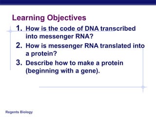 Regents Biology
Learning Objectives
1. How is the code of DNA transcribed
into messenger RNA?
2. How is messenger RNA translated into
a protein?
3. Describe how to make a protein
(beginning with a gene).
 