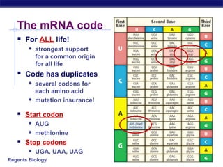 Regents Biology
 For ALL life!
 strongest support
for a common origin
for all life
 Code has duplicates
 several codons for
each amino acid
 mutation insurance!
 Start codon
 AUG
 methionine
 Stop codons
 UGA, UAA, UAG
The mRNA code
 
