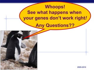 Regents Biology 2009-2010
Whoops!
See what happens when
your genes don’t work right!
Any Questions??
 