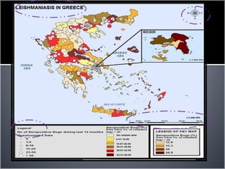 Ορισμοί-έννοιες –VI
Χάρτες….
 