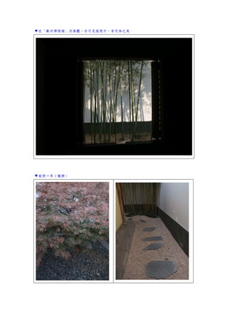 ▼在「蘇州博物館」內參觀，亦可見庭院中，有竹林之美
▼庭院一角（楓樹）
 