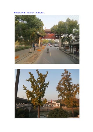 ▼穿過這座牌樓，可能已進入「楓橋風景區」
 