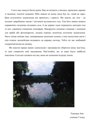 З того часу минуло багато років. Вже не впізнати у високих, кремезних деревах
ті маленькі, тендітні саджанці. Ніби завжди на цьому місці був ліс, такий як зараз.
Крім естетичного задоволення він приносить і користь. Ми знаємо, що ліси – це
потужні «виробники» кисню і поглиначі вуглекислого газу. Тож його можна назвати
справжніми «зеленими легенями» села. А ще дерева і кущі затримують шкідливі гази
та пил, сприяючи очищенню атмосфери. Мандруючи лісовими стежками з кошиком
для грибів або фотоапаратом, людина отримує величезне естетичне задоволення.
Чисте лісове повітря лікує захворювання дихальних шляхів, а тихе шелестіння листя і
спів пташок заспокійливо впливають на нервову систему. Тобто ліс має неабиякий
оздоровчий вплив на людину.
Ми цінуємо працю наших односельців і продовжуємо оберігати цінну пам’ятку,
та самі створюємо нові насадження. Пам’ятаймо, що за нами йдуть майбутні
покоління. Сьогодні залежить від нас, якою ми залишимо їм рідну землю.
Томощук Аня
учениця 7 класу
 