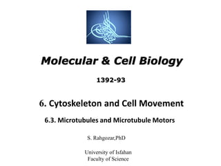 Molecular & Cell Biology
S. Rahgozar,PhD
University of Isfahan
Faculty of Science
6. Cytoskeleton and Cell Movement
6.3. Microtubules and Microtubule Motors
1392-93
 