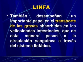 11
LINFA
• También desempeñan un
importante papel en el transporte
de las grasas absorbidas en las
vellosidades intestinales, que de
esta manera pasan a la
circulación sanguínea a través
del sistema linfático.
 