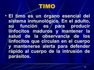 13
TIMO
• El timo es un órgano esencial del
sistema inmunológico. En el adulto,
su función es para producir
linfocitos maduros y mantener la
salud de la observancia de los
linfocitos que circulan en el cuerpo
y mantenerse alerta para defender
rápido al cuerpo de la intrusión de
parásitos.
 