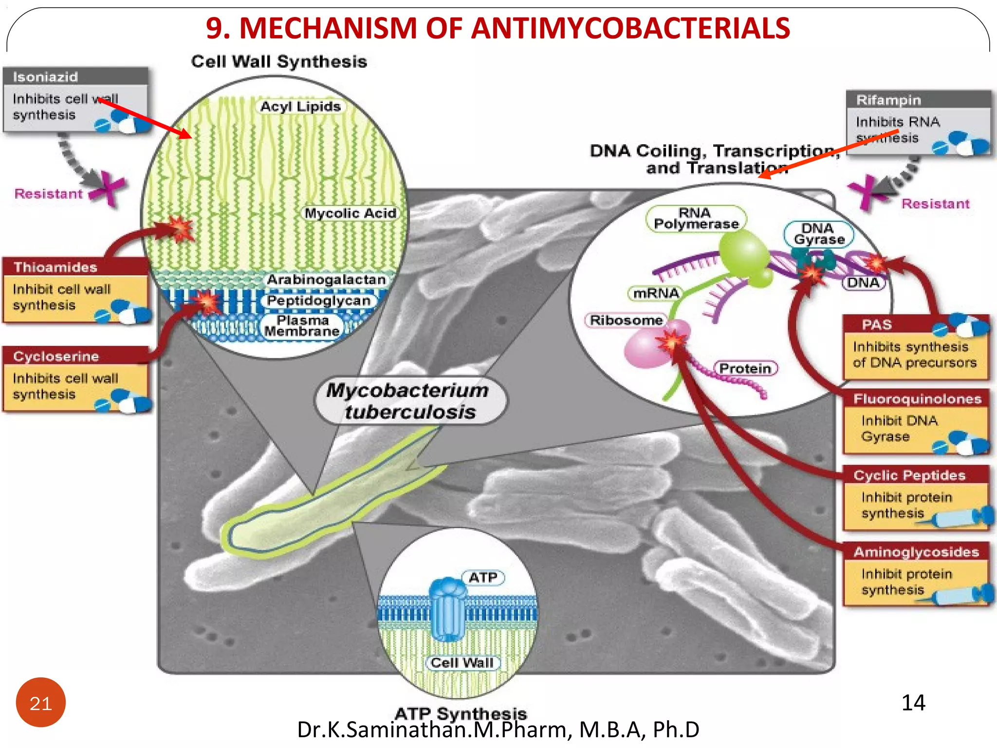 0
20
40
60
80
100
120
一月 二月 三月 四月
亚洲区
欧洲区
北美区
9. MECHANISM OF ANTIMYCOBACTERIALS
1421
Dr.K.Saminathan.M.Pharm, M.B.A, Ph.D
 