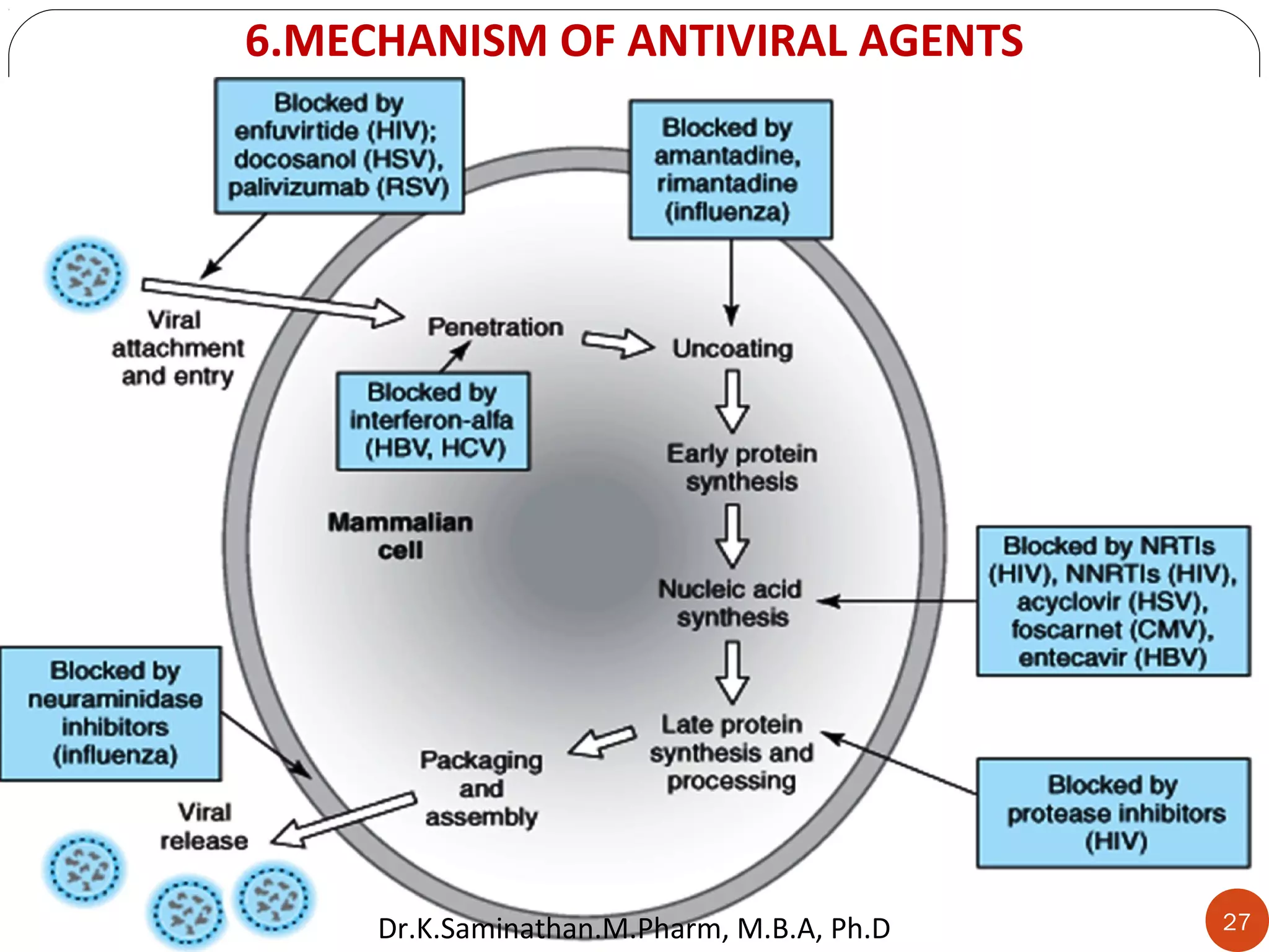 6.MECHANISM OF ANTIVIRAL AGENTS
27Dr.K.Saminathan.M.Pharm, M.B.A, Ph.D
 