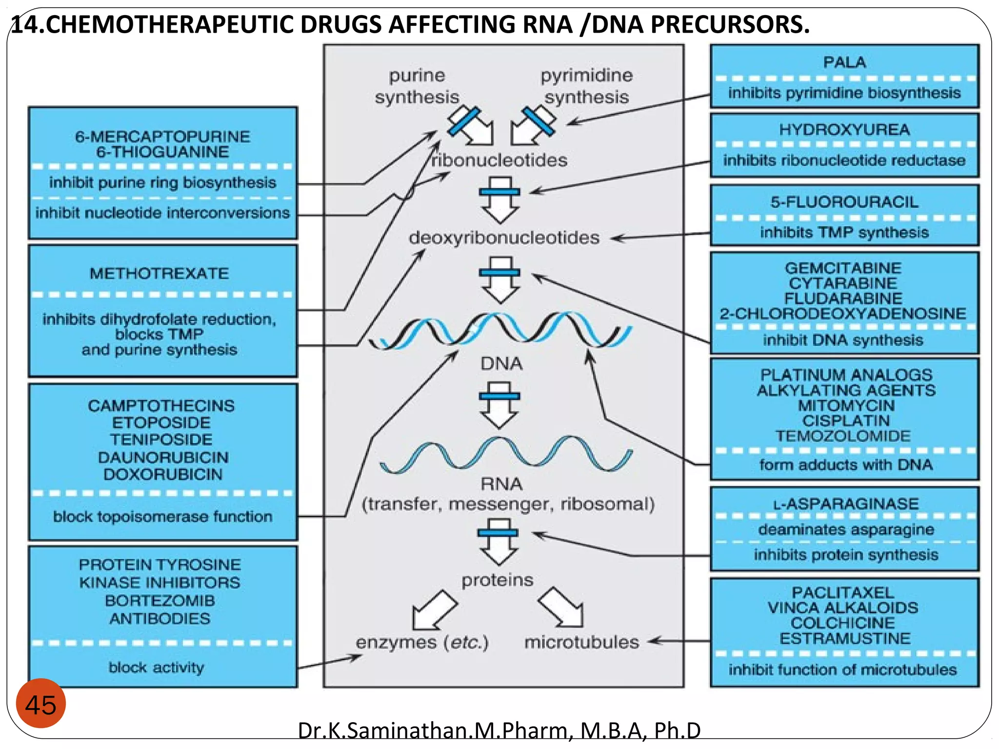 14.CHEMOTHERAPEUTIC DRUGS AFFECTING RNA /DNA PRECURSORS.
45
Dr.K.Saminathan.M.Pharm, M.B.A, Ph.D
 