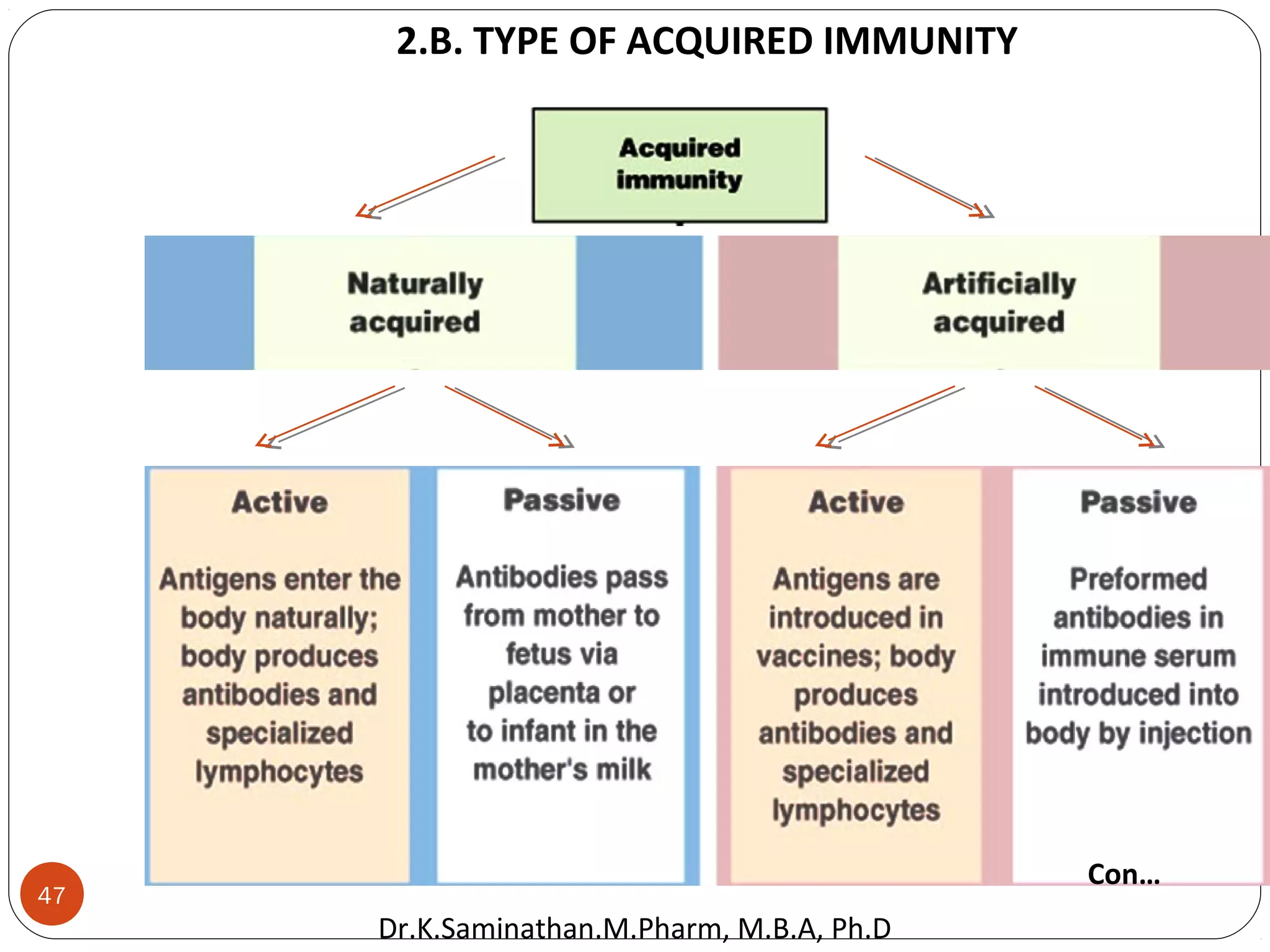 47
2.B. TYPE OF ACQUIRED IMMUNITY
Con…
Dr.K.Saminathan.M.Pharm, M.B.A, Ph.D
 