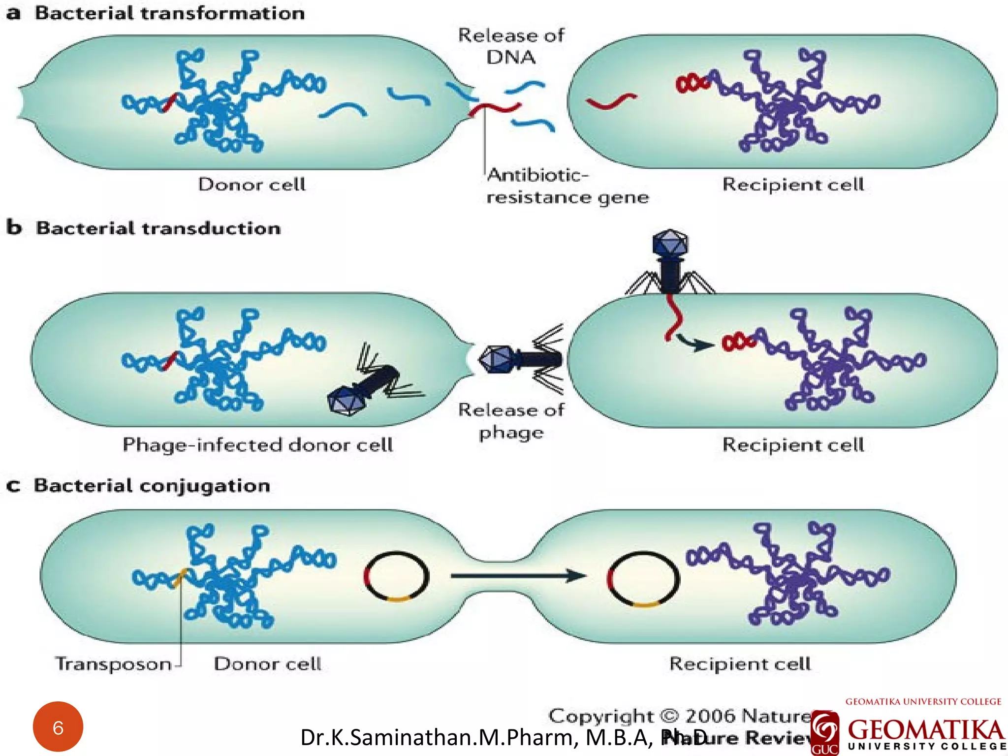 6
6
Dr.K.Saminathan.M.Pharm, M.B.A, Ph.D
 
