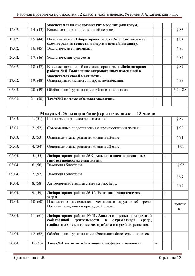 проверочные тесты по теме стадии эволюции человека по биологии 9 класс