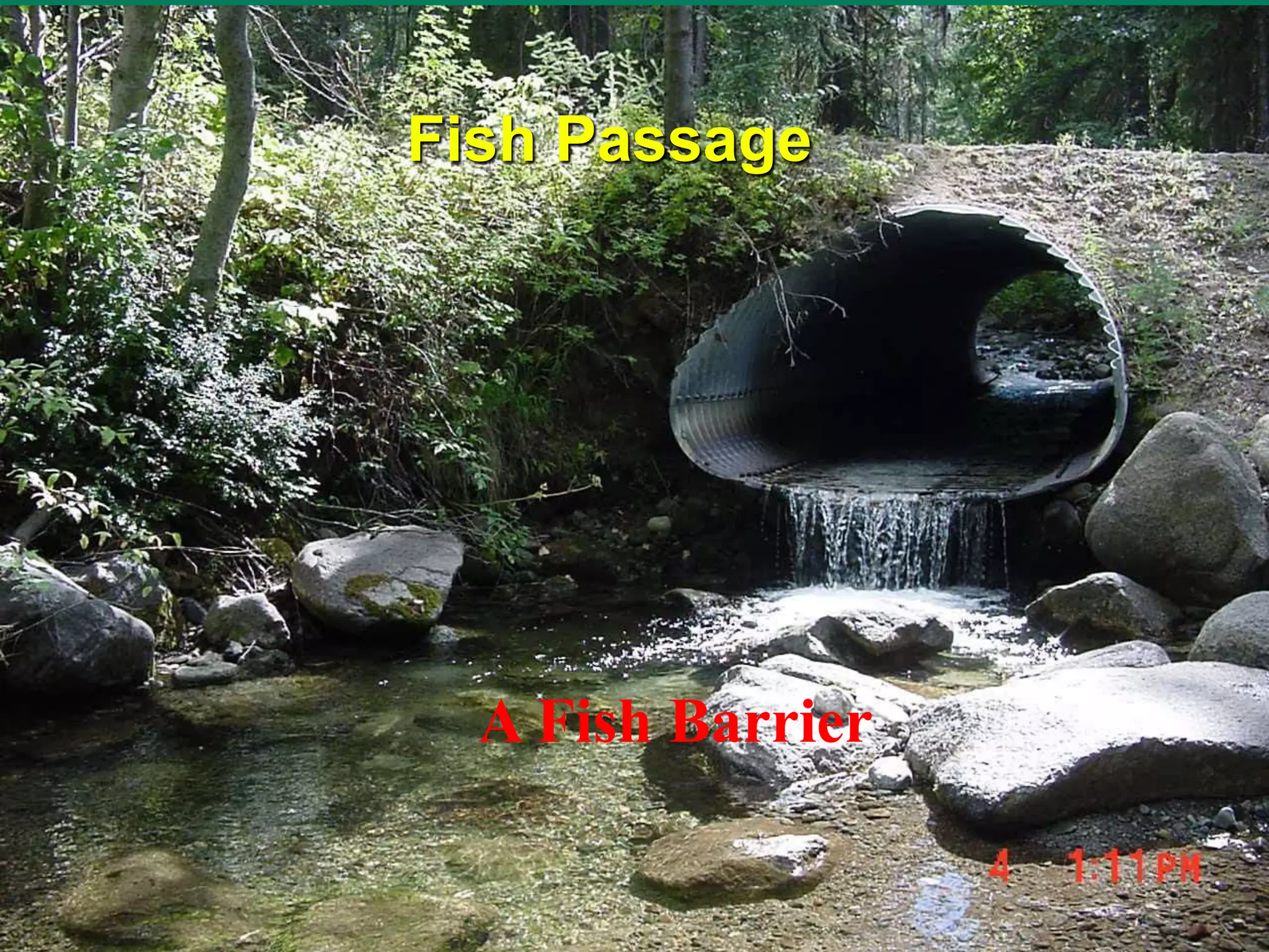 A Fish Barrier
Fish Passage
 