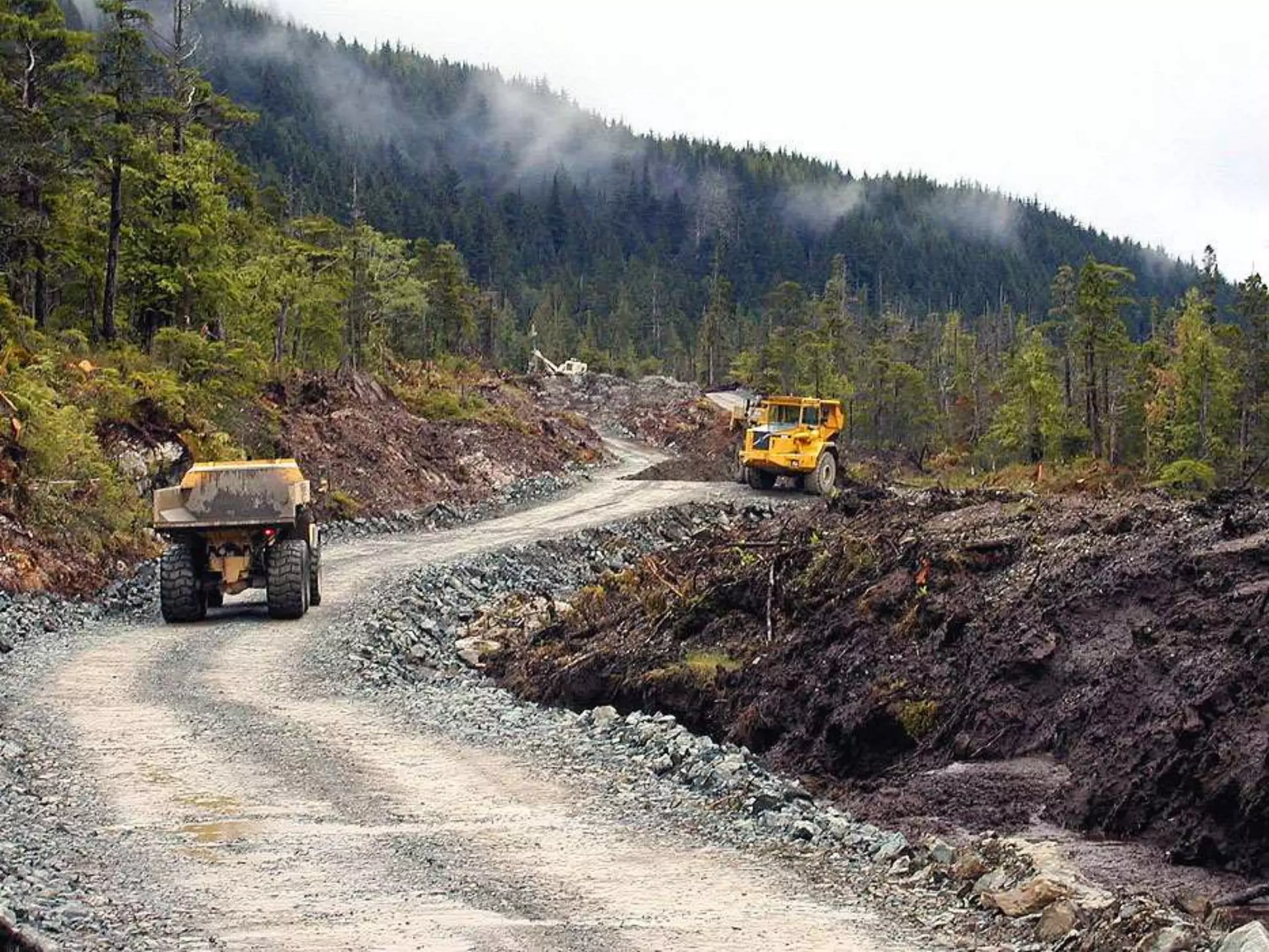 Roads/Riparian Restoration Team
 