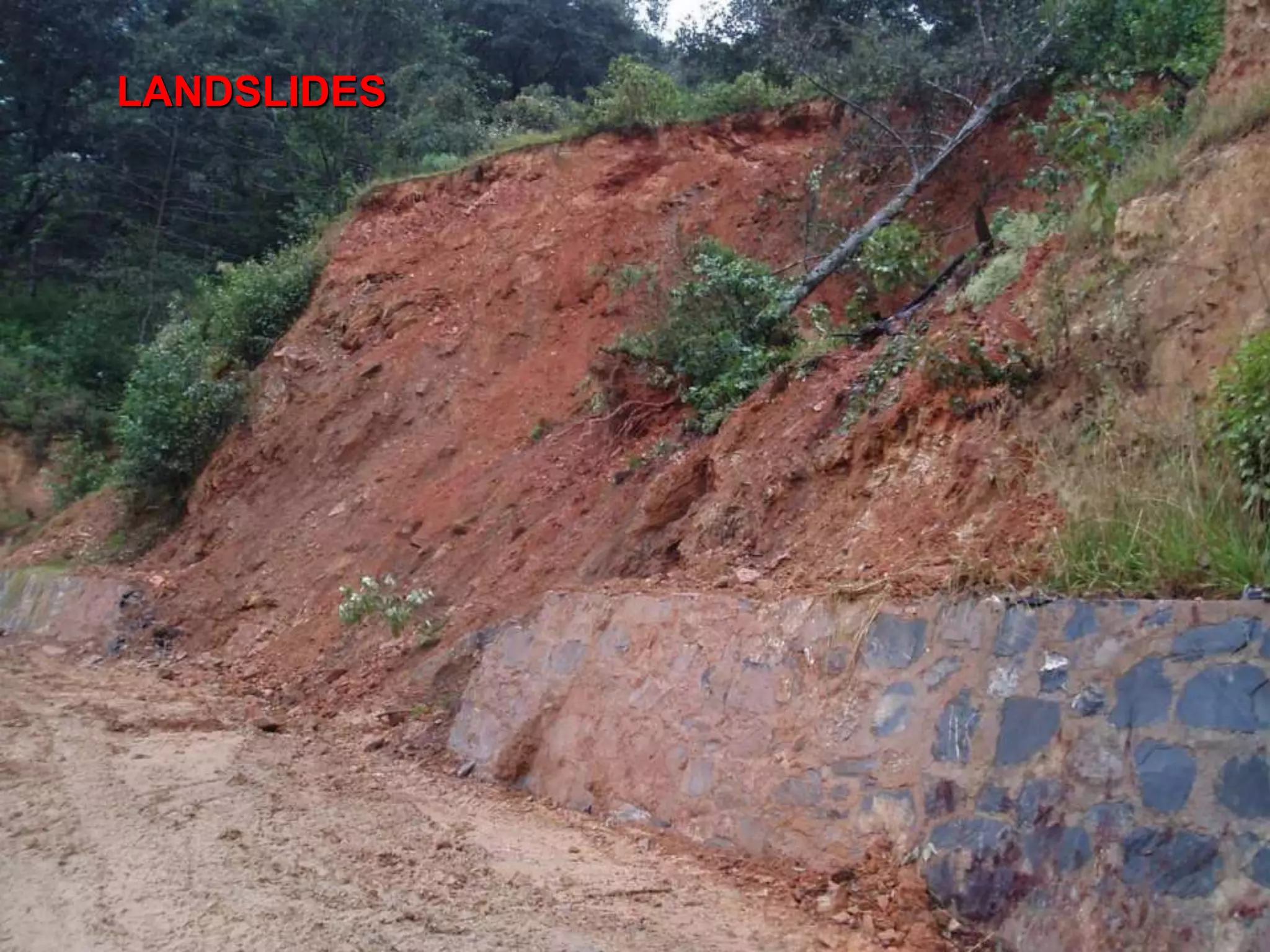 LANDSLIDES
 