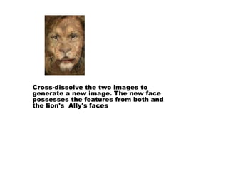 Cross-dissolve the two images to
generate a new image. The new face
possesses the features from both and
the lion's Ally's faces
 